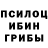 Галлюциногенные грибы прущие грибы Alert Heart