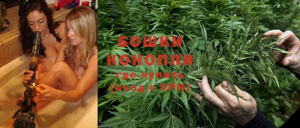 дживик Аркадак