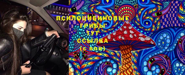 дживик Аркадак