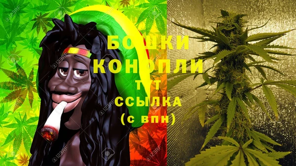 дживик Аркадак