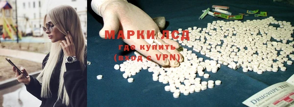 дживик Аркадак