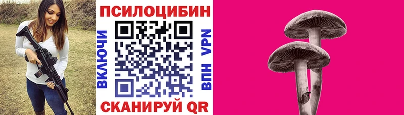где купить наркоту  Белинский  omg рабочий сайт  Псилоцибиновые грибы прущие грибы 